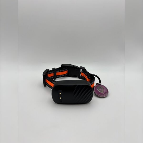 The Pet GPS - Camile - 20 OFF - Imagem 2