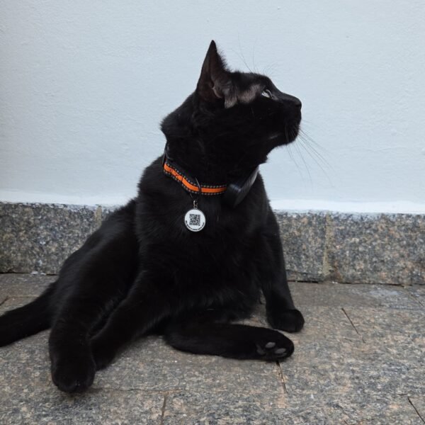 Coleira GPS para Gatos e Cachorros - Imagem 5