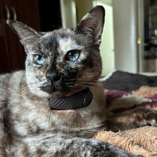 Coleira GPS para Gatos e Cachorros - Imagem 6