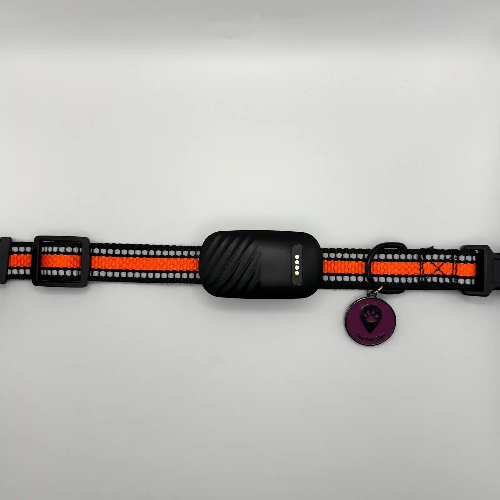 Cachorro e gato com a coleira The Pet GPS