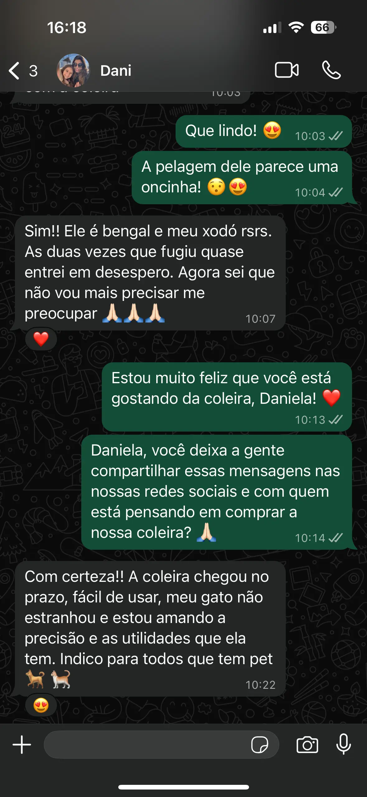 Depoimento Dani