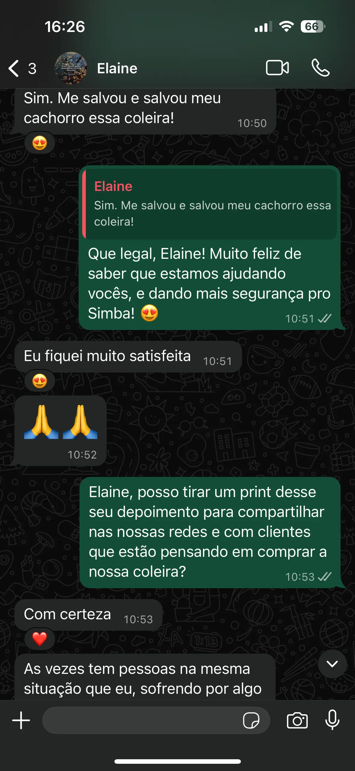 Depoimento Elaine