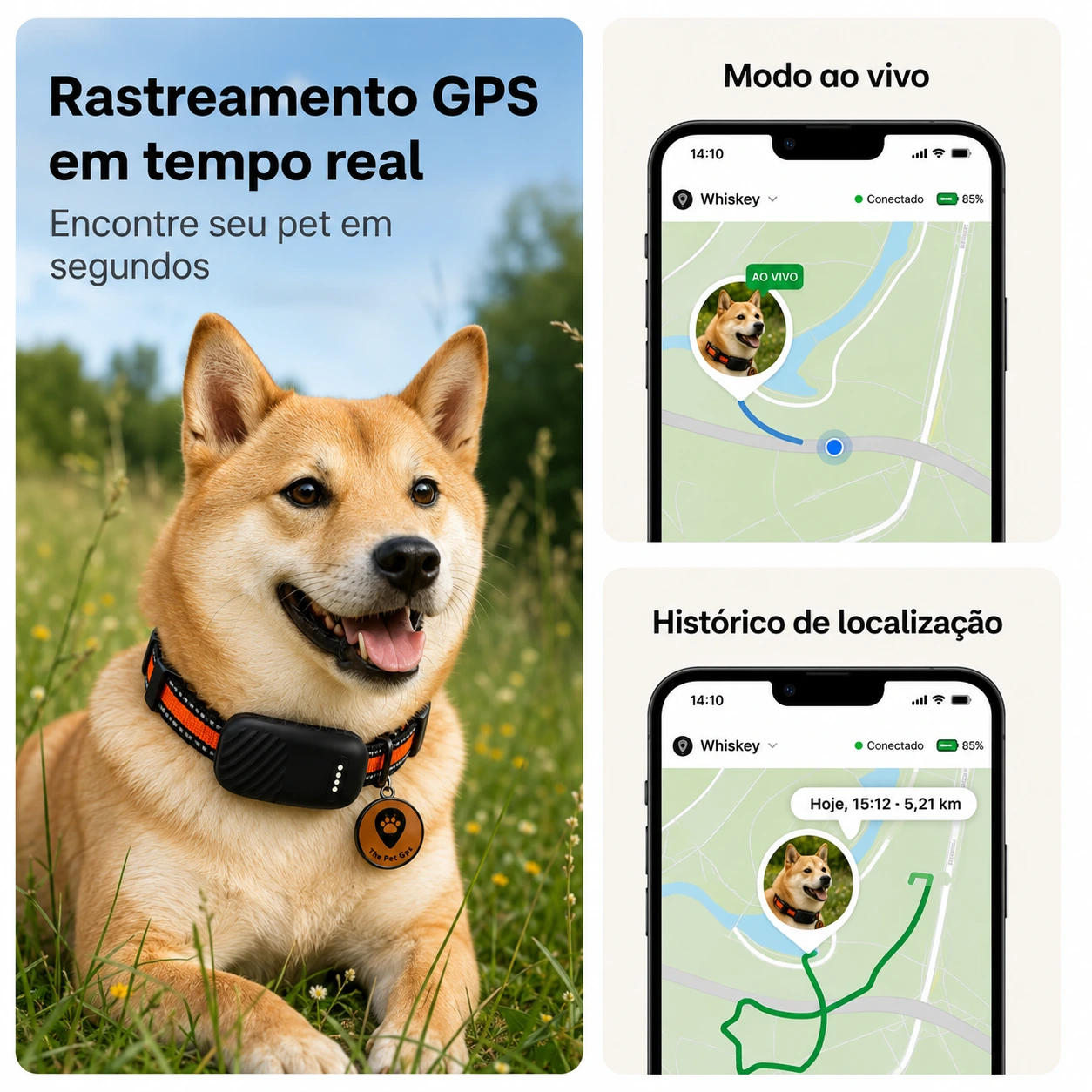 Cachorro usando a coleira gps e mostrando o rastreamento em tempo real