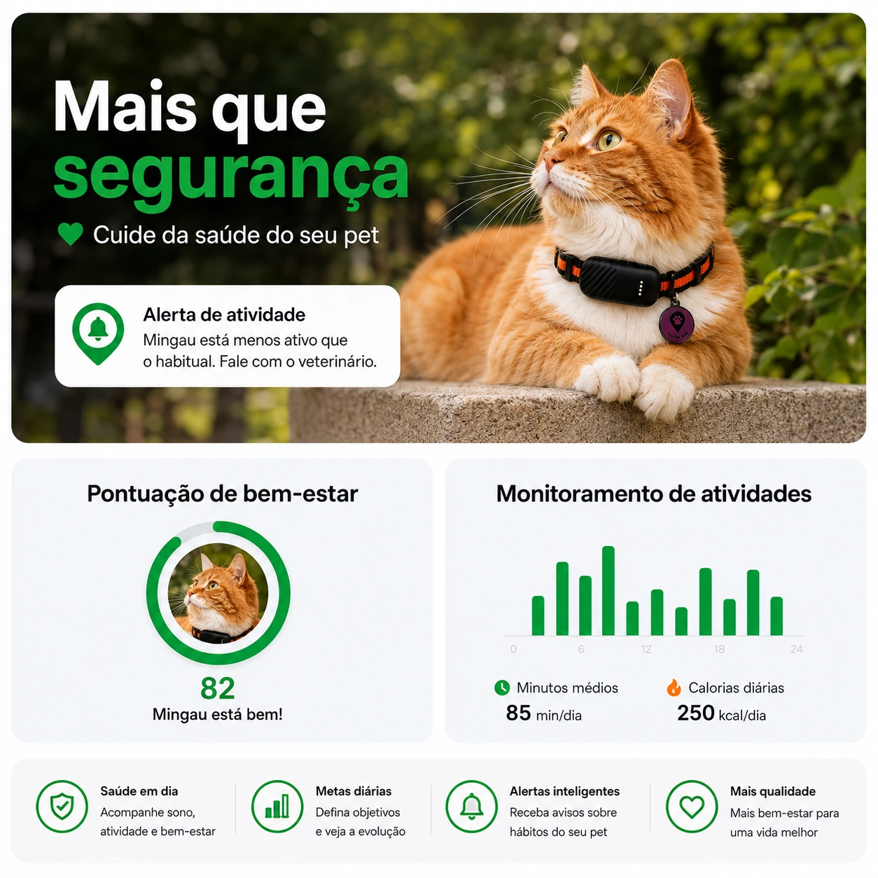 Gato com coleira gps mostrando as funcionalidades de saúde do aplicativo
